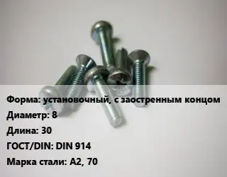 Винт установочный, с заостренным концом 8х30 DIN 914 Сталь: А2, 70